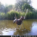dscf0062.jpg