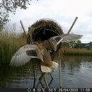 dscf0985.jpg